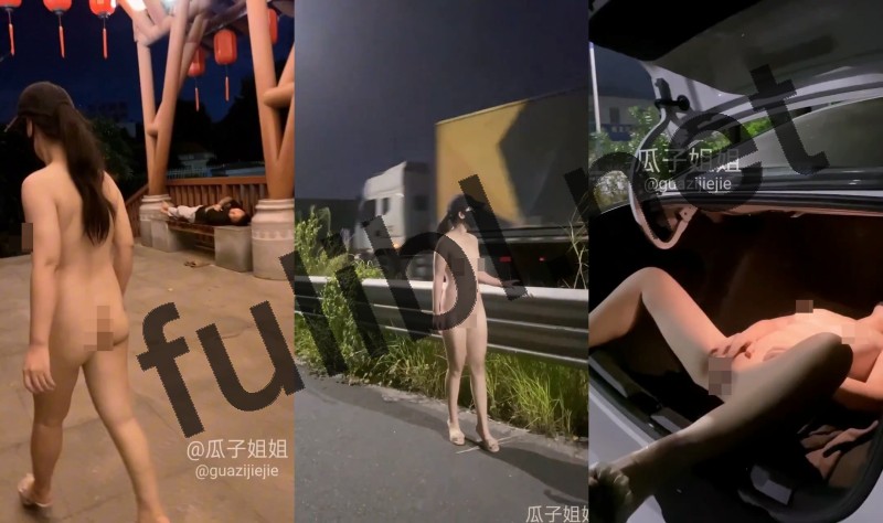 露出系福利姬@瓜子姐姐 尺度视图合集 第二弹[3P+35V/504M]